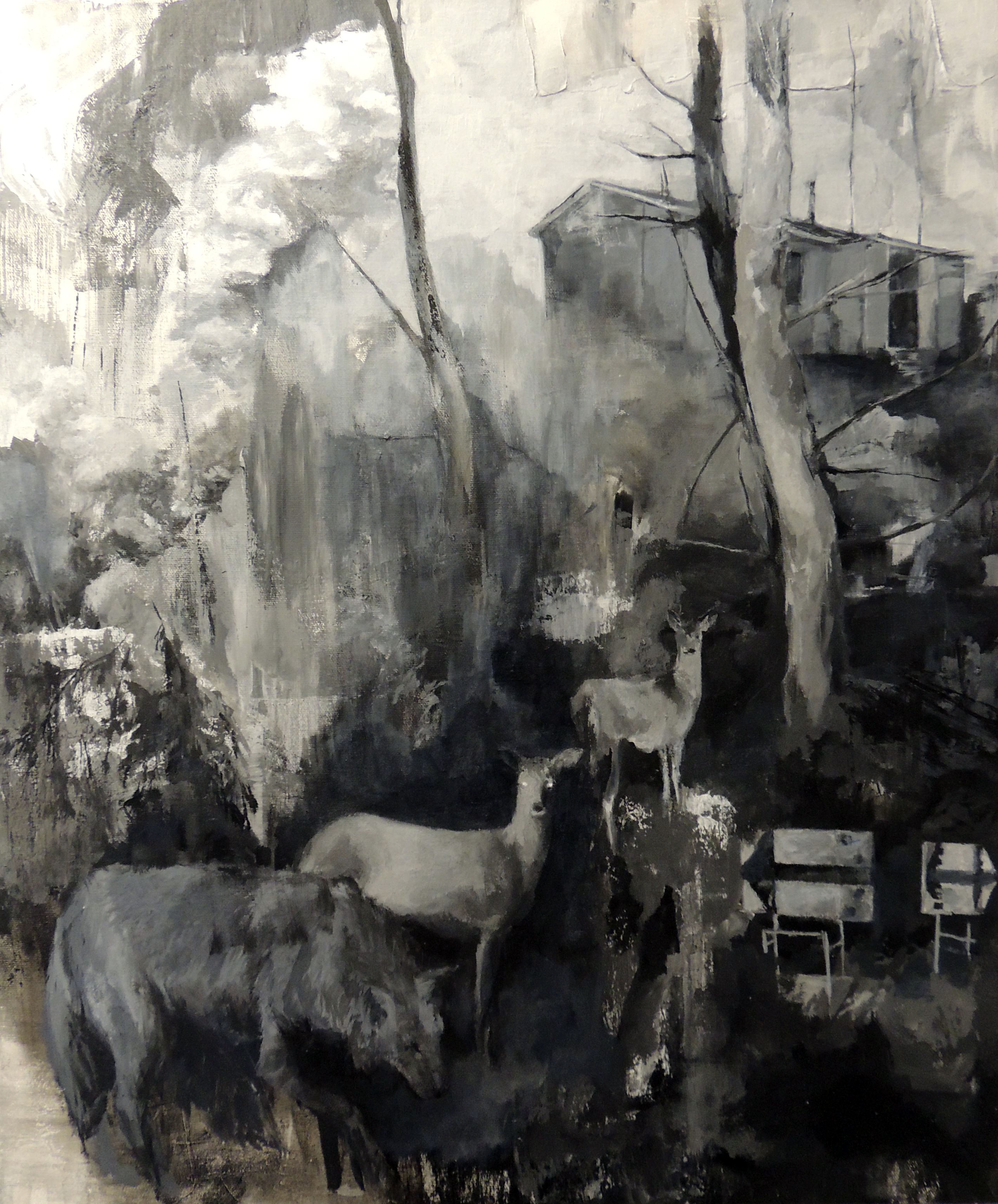 wilderness revisited (ii)