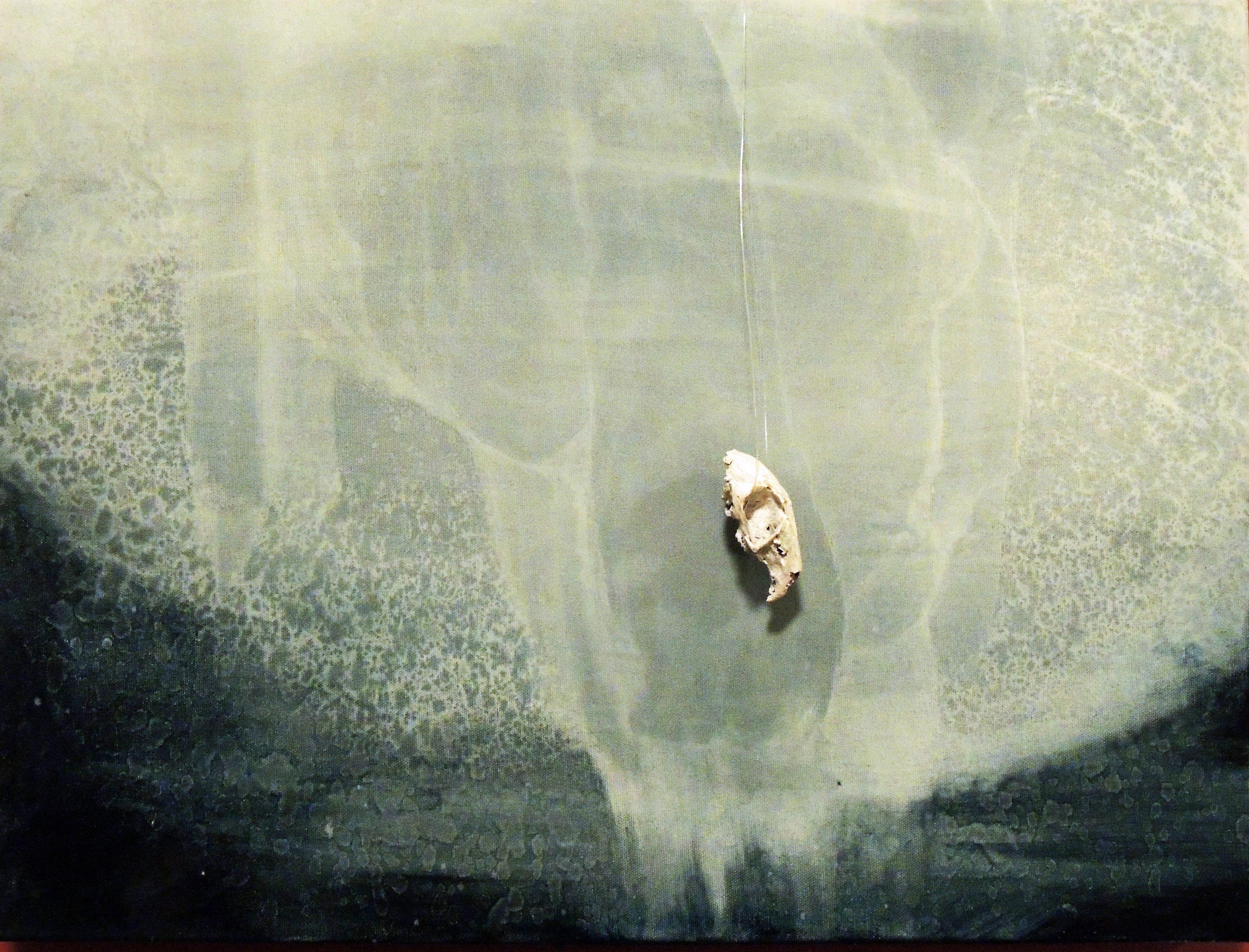 rabbit skull and landscape